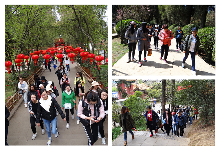 1520845166583209.jpg 登山01760.jpg