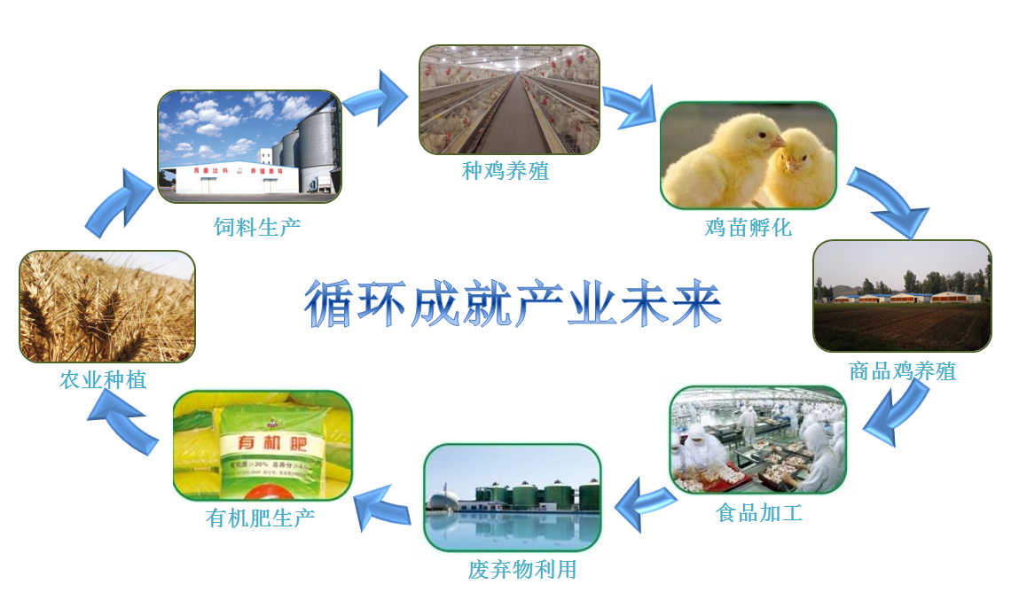 產(chǎn)業(yè).png